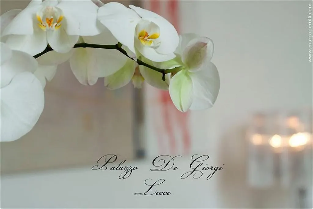 Bed & Breakfast Palazzo De Giorgi B&B